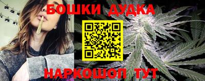 индика Гагарин