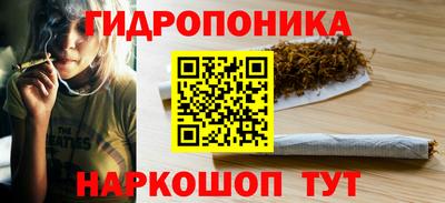 прущие крисы Гатчина