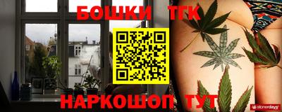 индика Гагарин