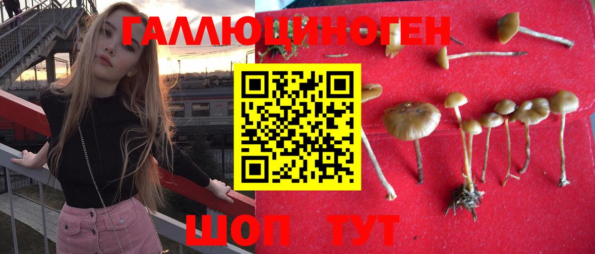 Нижнекамск  Псилоцибиновые грибы Psilocybine cubensis  Вход с VPN 